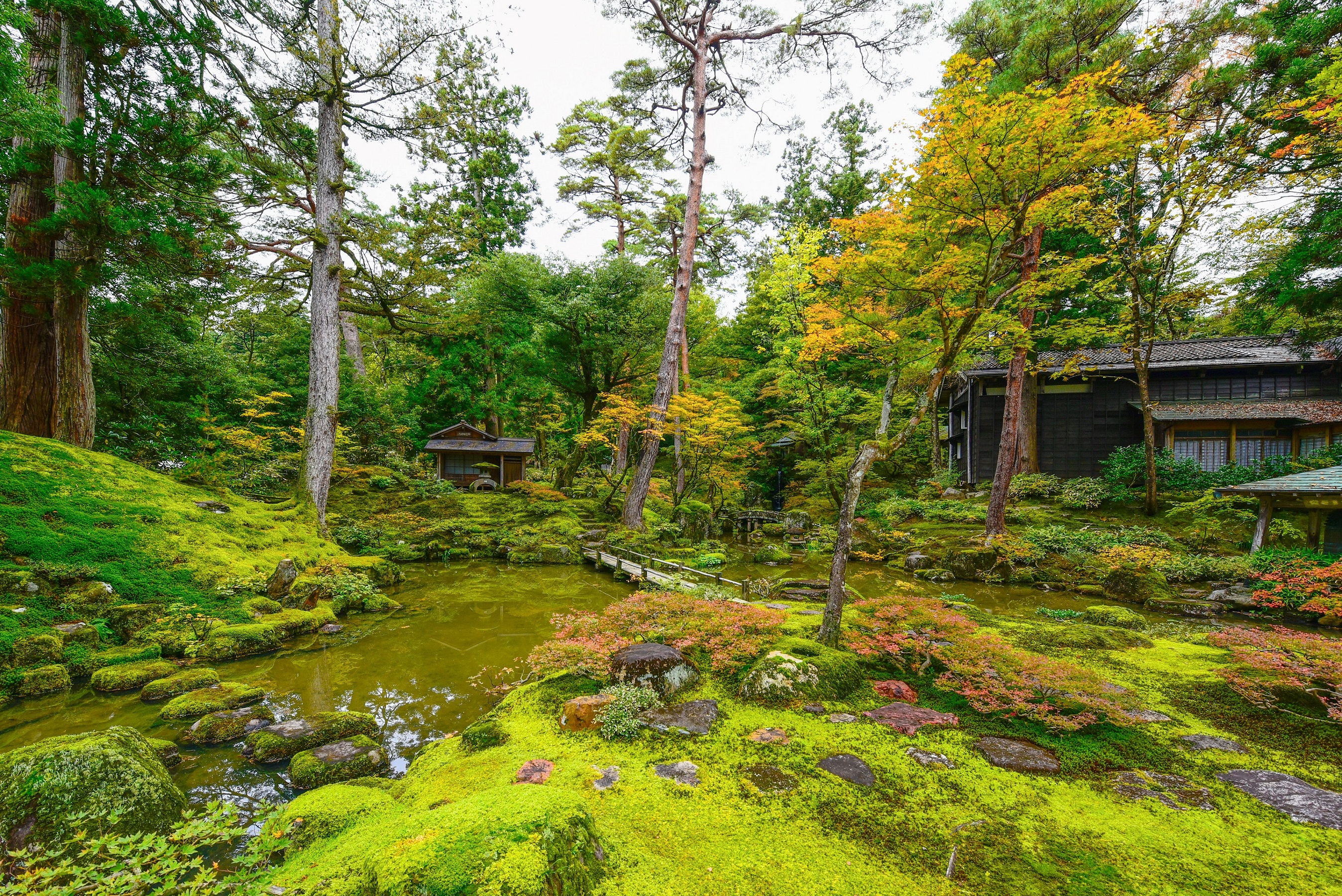 柏崎２つの庭園めぐりとじょんのび温泉