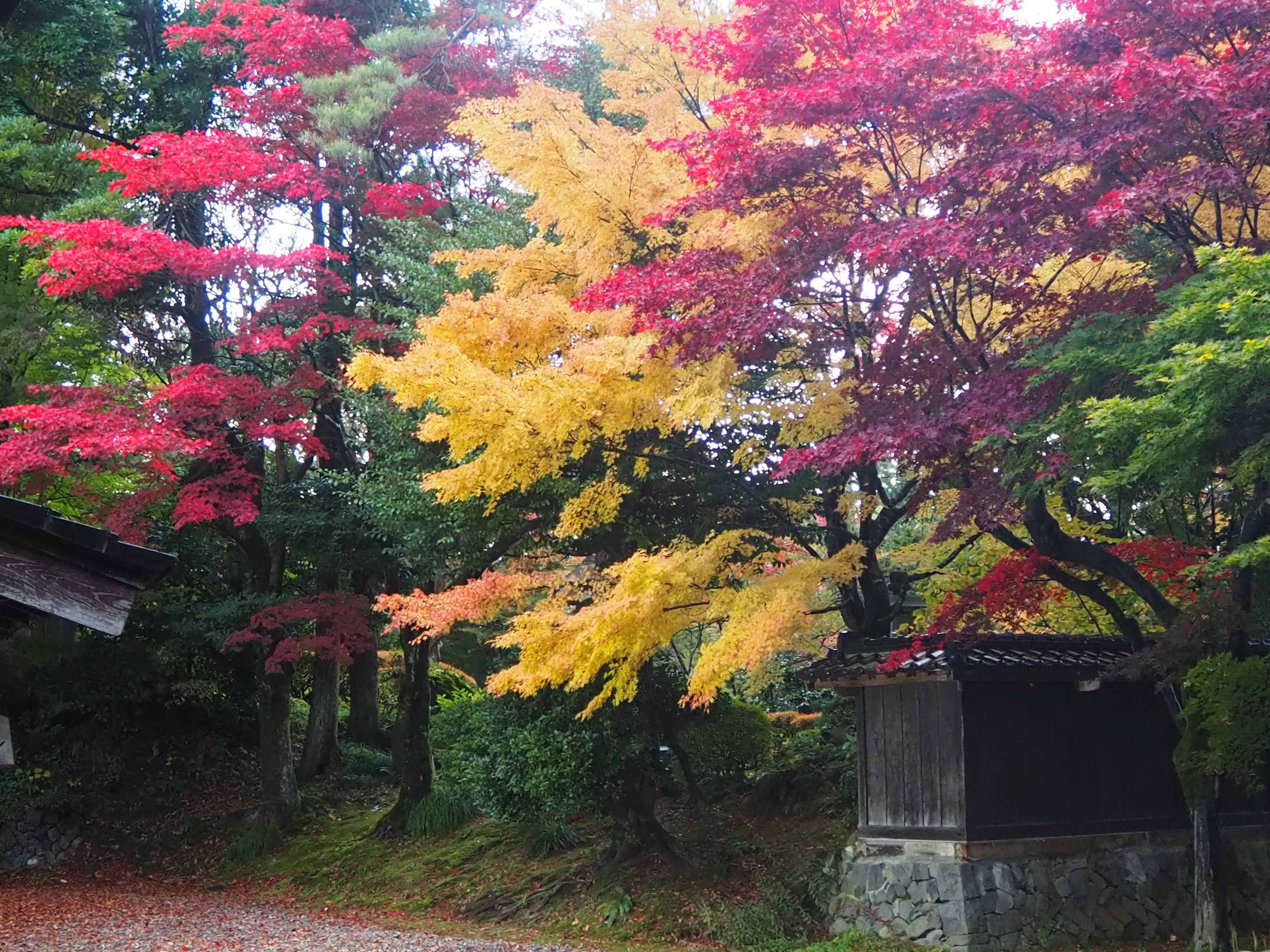 柏崎２つの庭園めぐりとじょんのび温泉