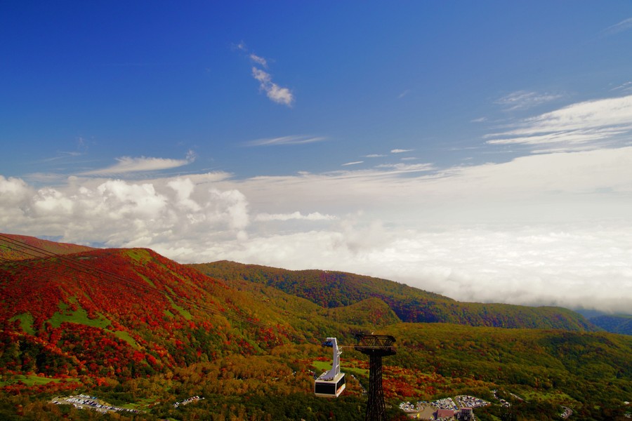 圧巻の景色！紅葉ミステリー