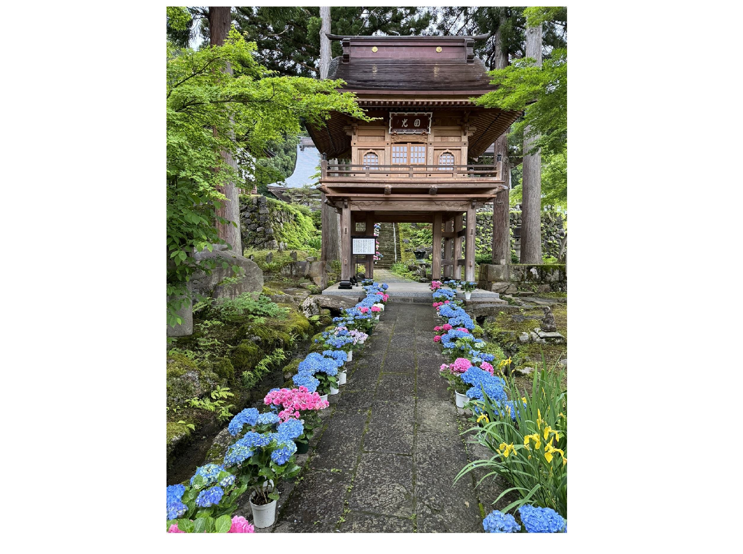 ザ・ヴェランダ石打丸山展望テラスと癒しの禅寺　関興寺