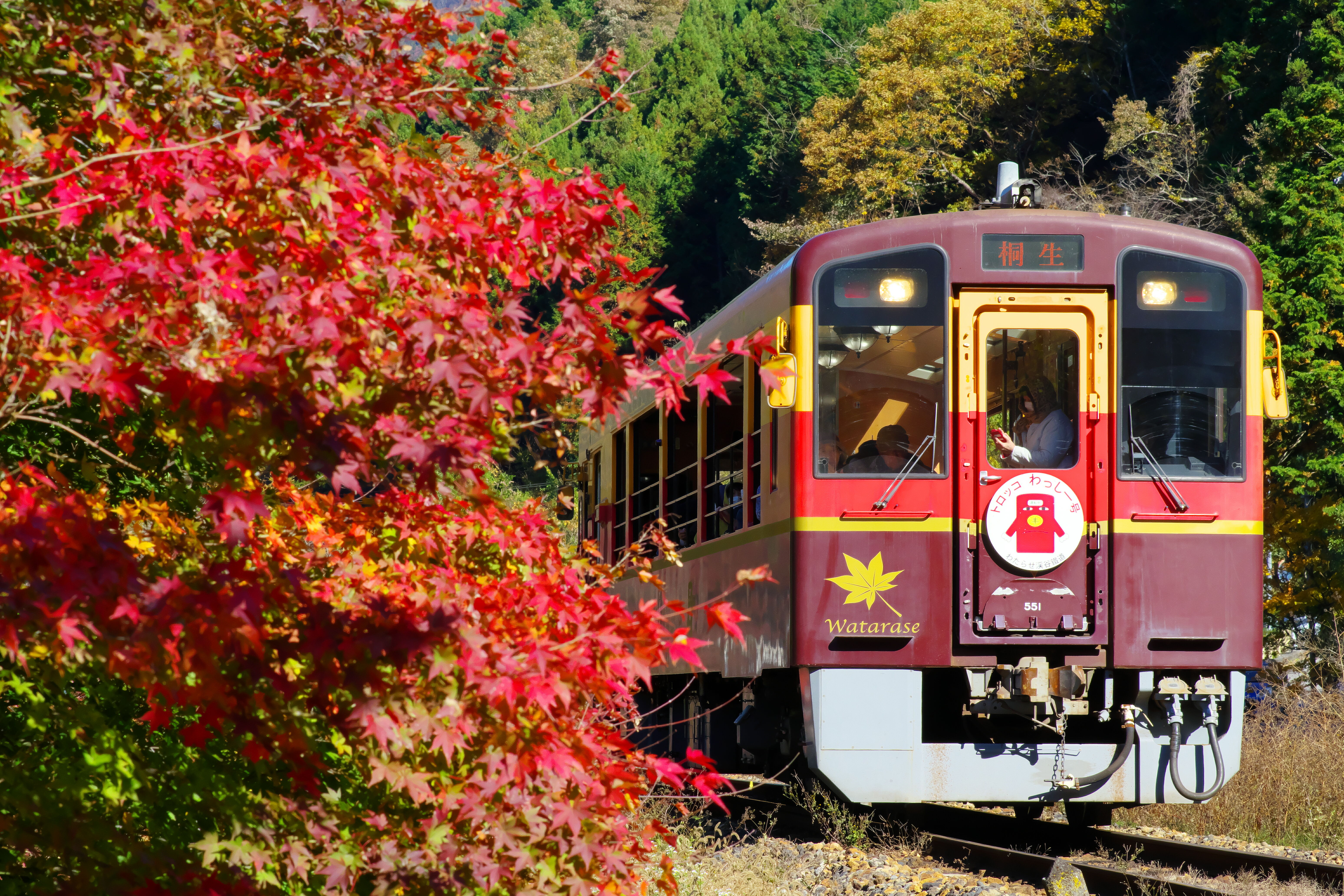秋のわたらせ渓谷鐡道とぶっ太いひもかわうどん