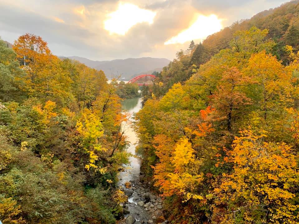 民宿休み場 きのこづくしランチと紅葉の破間川渓谷