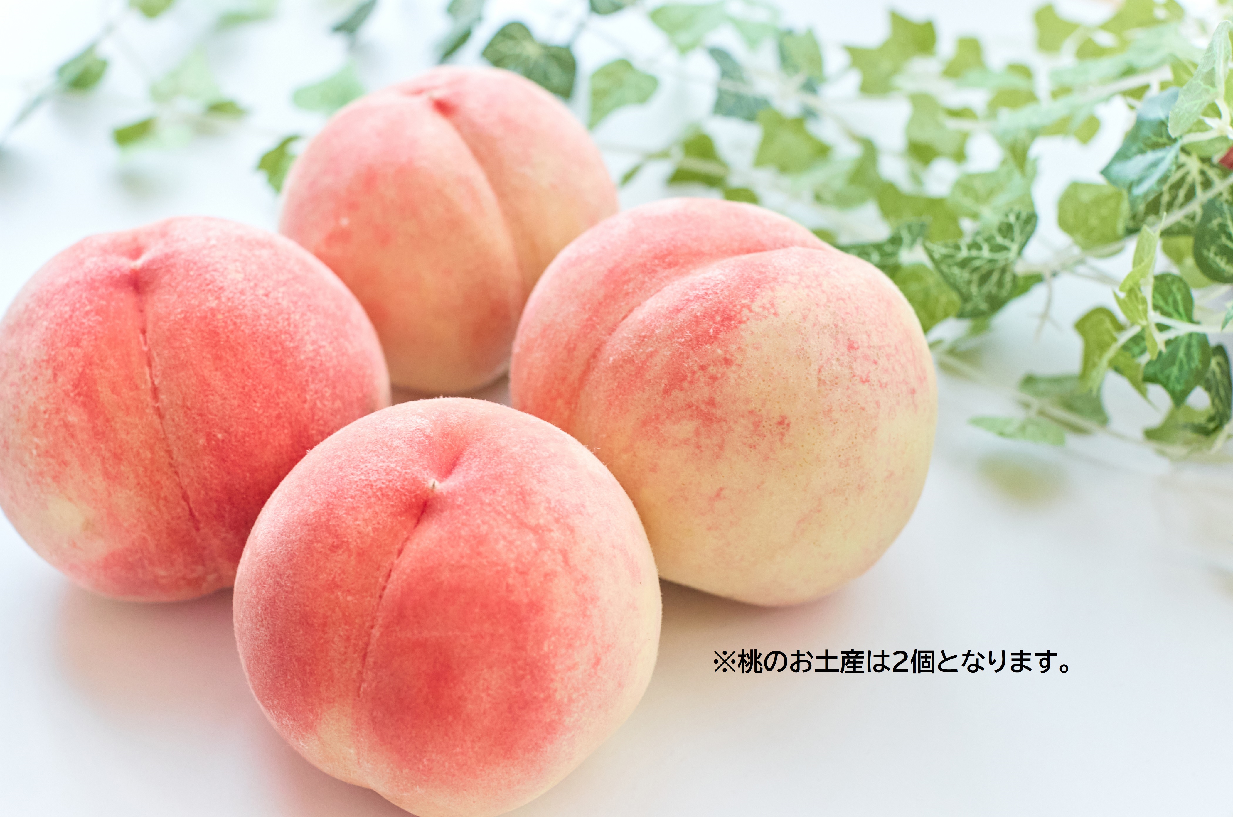 弥彦桜井郷温泉さくらの湯～季節のお土産付～