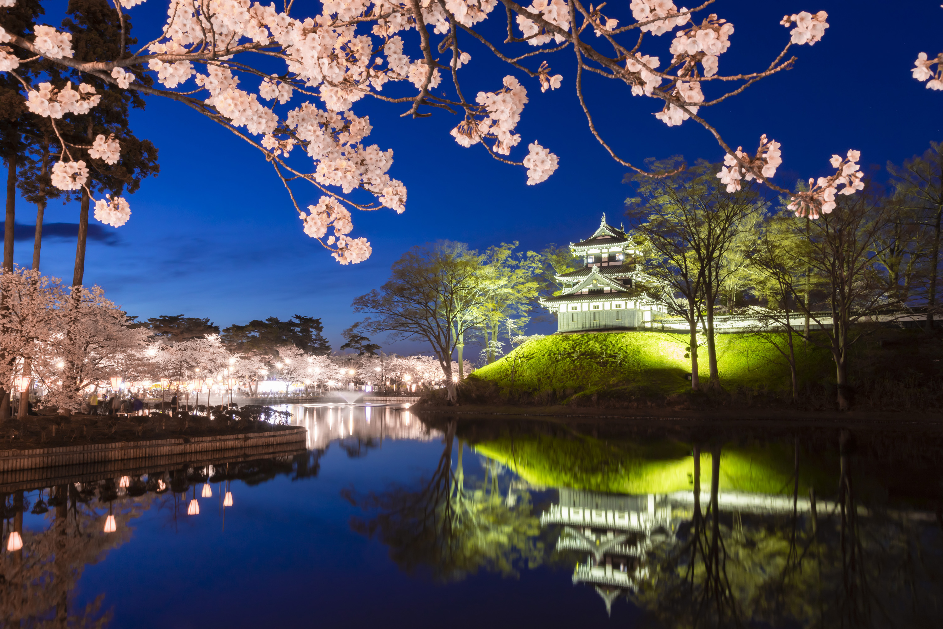 高田城址公園観桜会とワイナリーレストランディナー