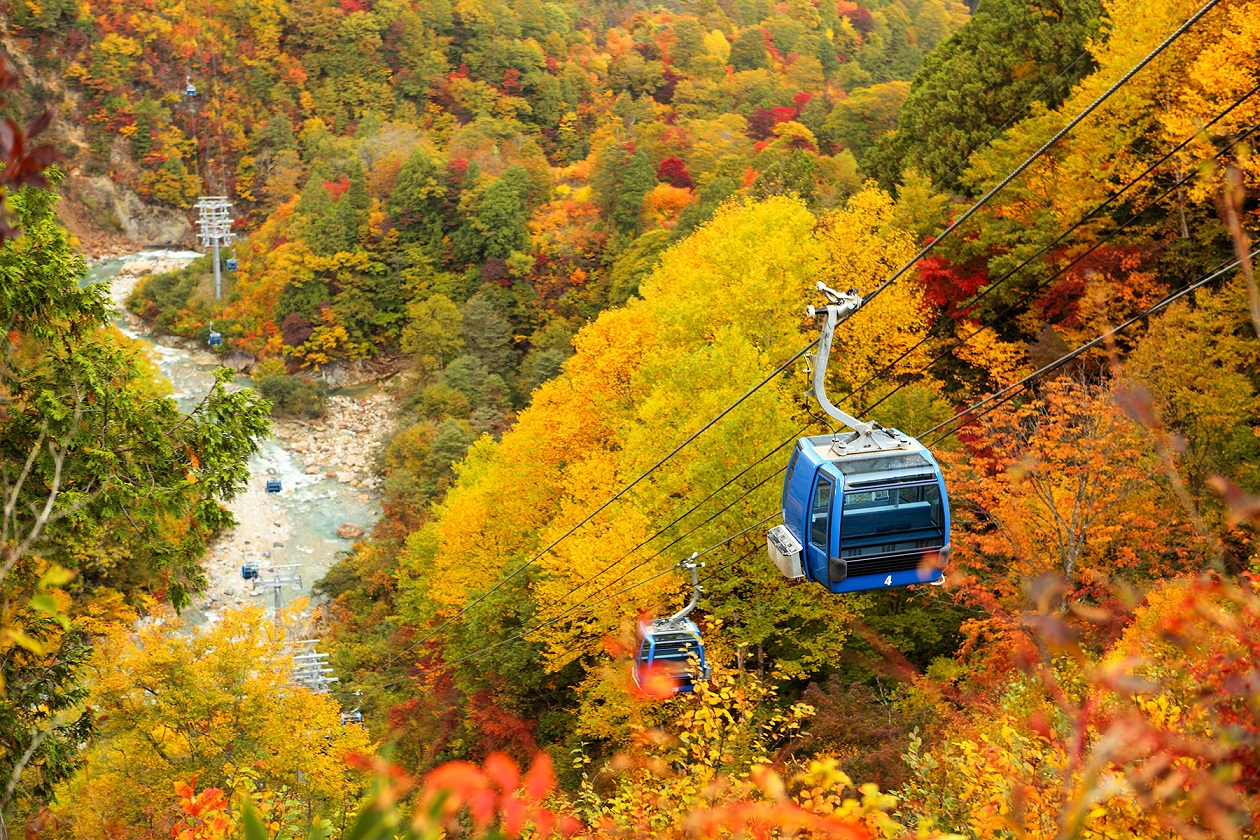 紅葉の絶景！ドラゴンドラ空中散歩