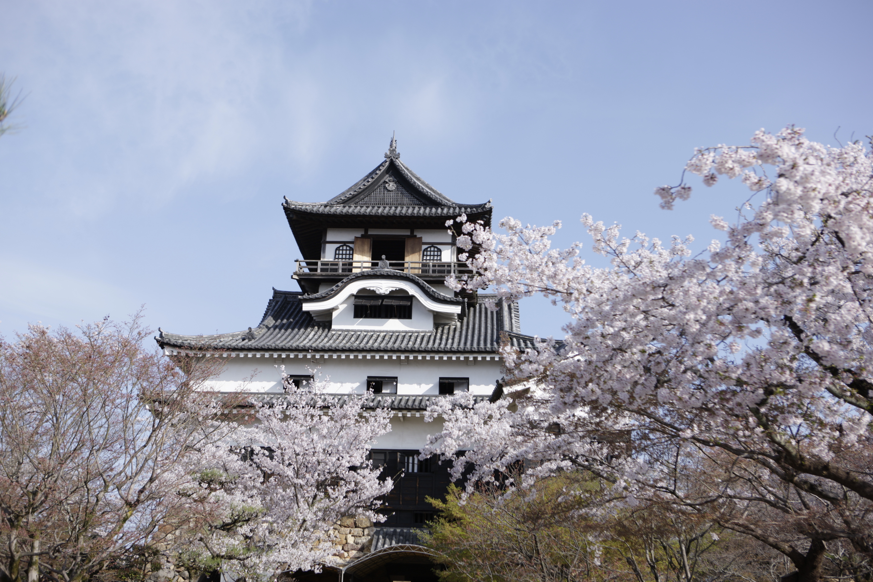 春爛漫！名古屋・犬山・岡崎三名城