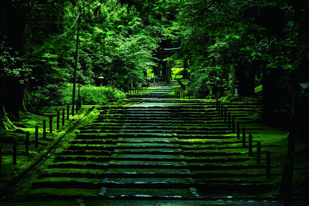 美しい苔寺・平泉寺白山神社 静かな時・石川県立図書館