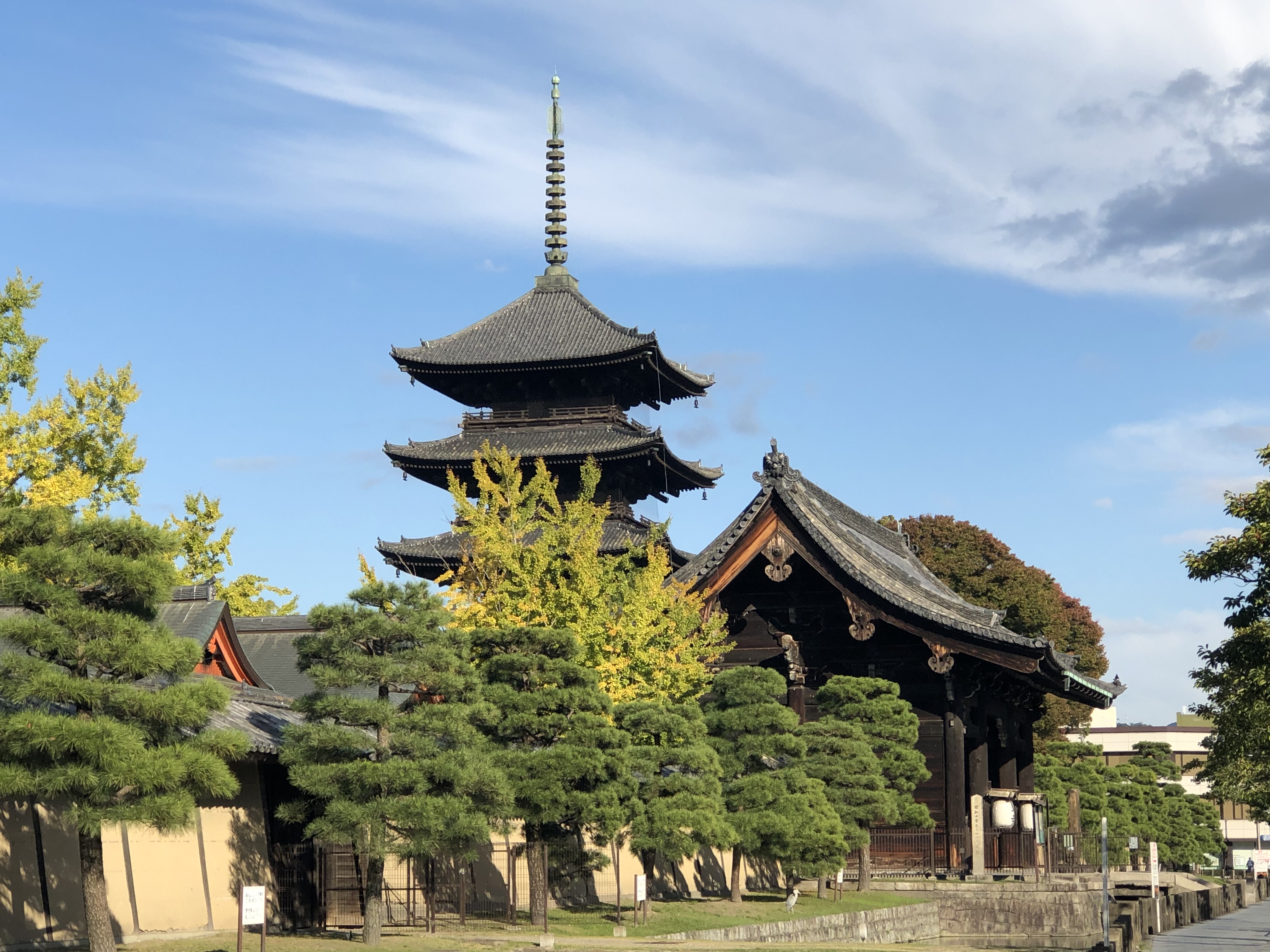 京都 都七福神まいりと“世界遺産”平等院