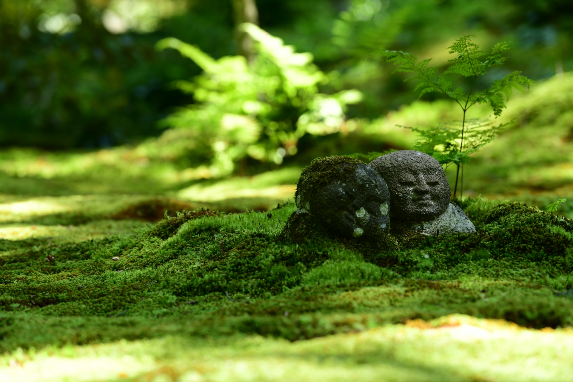 奈良国立博物館「第７７回 正倉院展」と大原三千院