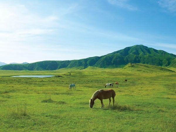 難攻不落の山城 岡城跡 熊本城と草千里ヶ浜